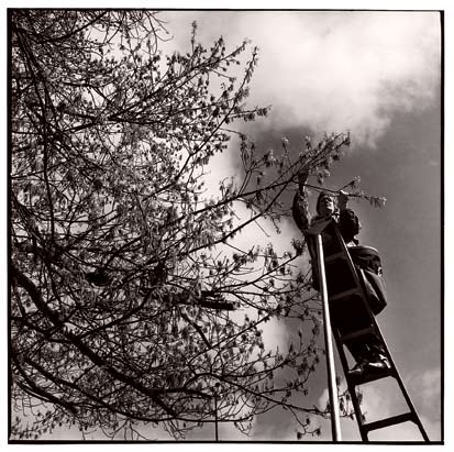 Odd Jobs