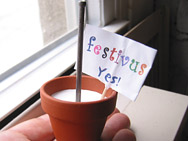 Festivus